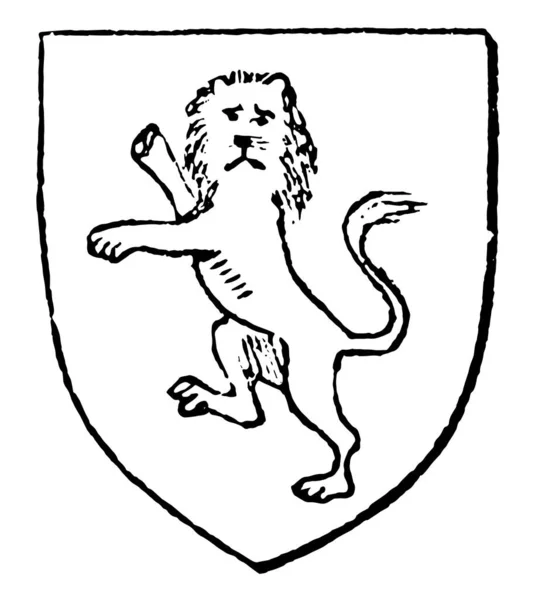 Gardant ライオンは ビンテージの線描画や彫刻イラストとして初期 — ストックベクタ