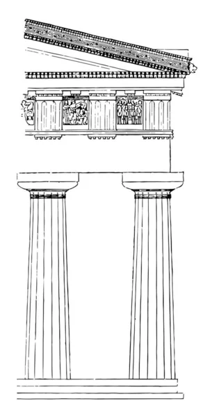 Orden Dórico Estriado Eviscerado Moteles Frontón Selinus Stylobate Templo Dibujo — Vector de stock