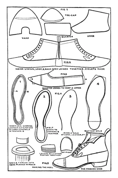 Illustration Represents Manufacture Shoe Vintage Line Drawing Engraving Illustration — Stock Vector
