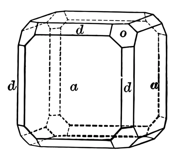 Questo Diagramma Rappresenta Ottaedro Cubo Dodecaedro Disegno Linee Vintage Incisione — Vettoriale Stock