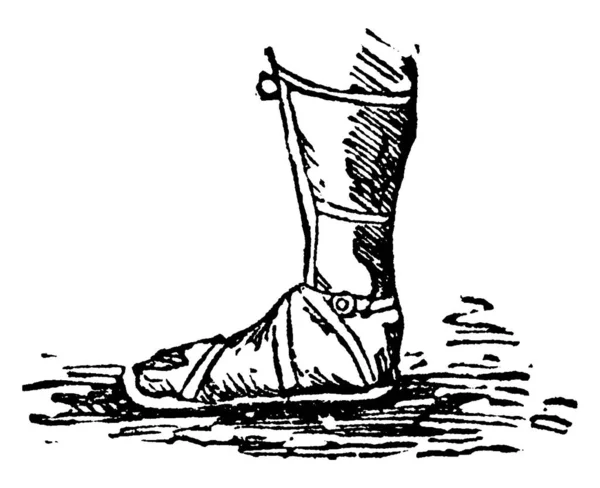Sandalet Ayakkabı Ayak Vintage Çizgi Çizme Veya Oyma Illüstrasyon Tutturulmuş — Stok Vektör