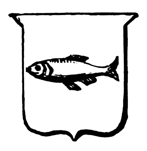 Геральдика Naiant Имеют Рыбу Щите Рисунок Винтажной Линии Гравировка Иллюстрации — стоковый вектор