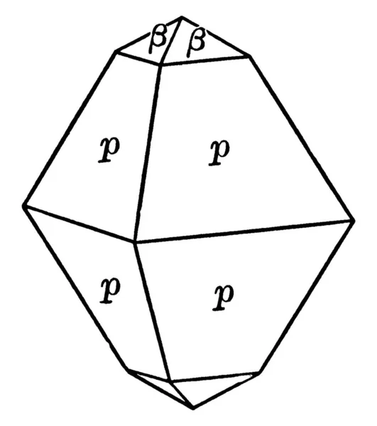 Questo Diagramma Rappresenta Scheelite Volti Della Piramide Terzo Ordine Sono — Vettoriale Stock