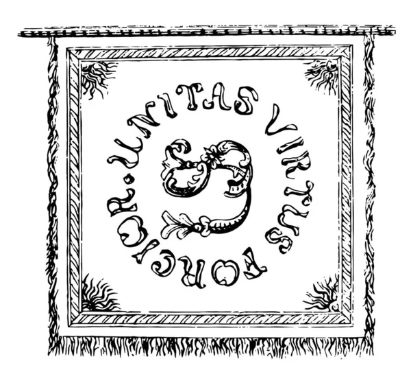 Знамя Пуласки Фронт Знамя Имеет Американское Слово Центре Унита Virtus — стоковый вектор