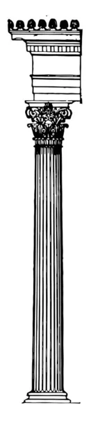 Korinthische Griekse Kolom Slender Geribbelde Twee Rijen Acanthus Bladeren Vintage — Stockvector