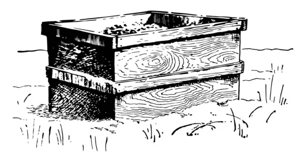 这个插图代表植物与一个盒子 冬季保护 复古线条画或雕刻插图 — 图库矢量图片