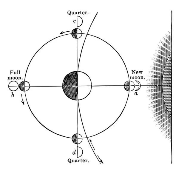 Las Fases Luna Son Causadas Por Sombra Tierra Cayendo Sobre — Vector de stock