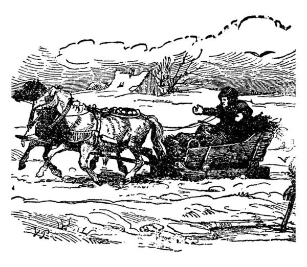 Homme Chariot Tiré Par Des Chevaux Dessin Ligne Vintage Illustration — Image vectorielle