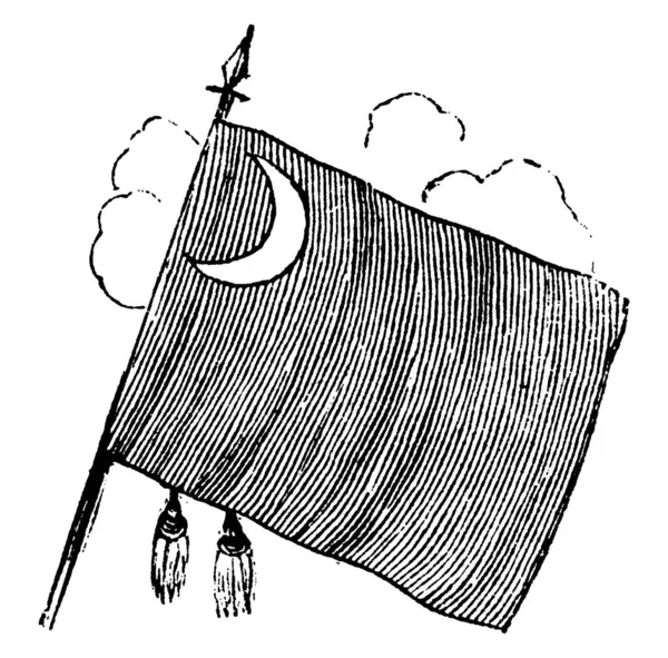 Drapeau Caroline Sud Lossing 1851 Drapeau Demi Lune Dans Coin — Image vectorielle