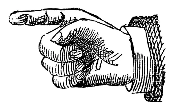 Рука Складається Долоні Пальців Вінтажного Малюнка Лінії Або Гравірувальної Ілюстрації — стоковий вектор