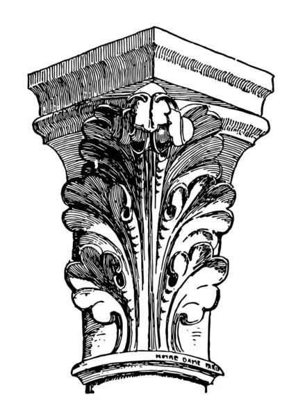 Kapitálu Roh Listy Kolonádou Monumentální Budov Vintage Kreslení Čar Nebo — Stockový vektor