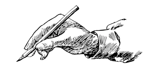 Escrita Mão Com Lápis Nesta Imagem Desenho Linha Vintage Gravura —  Vetores de Stock