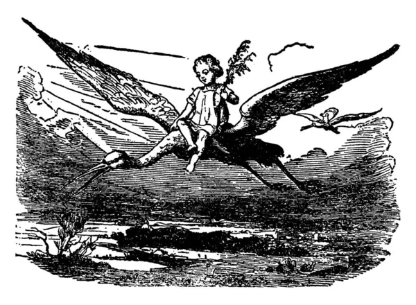 Child Riding Back Stork Bird Vintage Line Drawing Engraving Illustration — Stock Vector