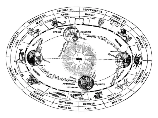 Influencia Del Sol Posición Tierra Base Sobre Que Divide Año — Archivo Imágenes Vectoriales