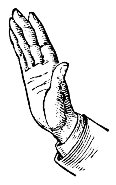 Esta Imagem Representa Posição Das Mãos Negação Negação Desenho Linha — Vetor de Stock