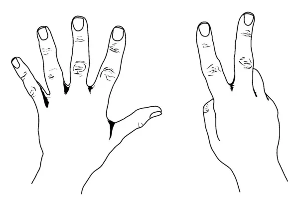 États Unis Style Counting Hands Représentant Dans Style Américain Dessin — Image vectorielle