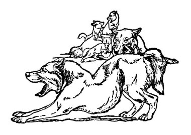 Mowgli'nın kardeşler, bu resim dört bebek kurtlarla iki kurt kurt uyandım ve esnedim, vintage satır çizim veya illüstrasyon oyma gösteriyor