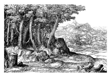 Cadore Ülkesi 'ndeki sahne bir kitaba, klasik çizime veya gravür illüstrasyonuna dönüştürüldü..