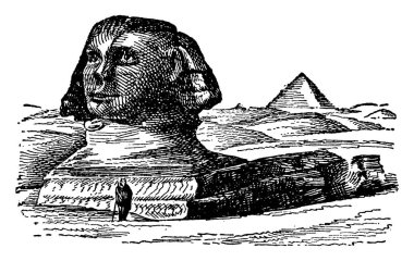Sfenks, andro-Sfenks, androsphinx, Mısır, Mısır, giza, gizeh, vintage çizgi çizme veya oyma illüstrasyon Büyük Sfenks.