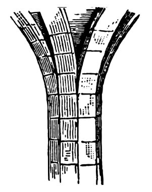 Impost, sürekli, mimari, sütun, kavşak, duvar, vintage çizgi çizme veya oyma illüstrasyon.