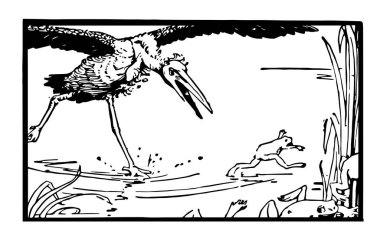 Aesop's masal, bir kral isteyen kurbağa, bu sahneyi bir kurbağa öfke içinde azar bir leylek kuş gösterir ve uzak leylek, vintage çizgi çizme veya oyma illüstrasyon kurbağa çalıştıran 