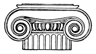 Greek capital, Ionic, the use of volutes, columns normally stand on a base, the stylobate or platform, vintage line drawing or engraving illustration. clipart