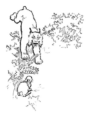 Lynx ve bir tavşan bu desen tasarım, vintage çizgi çizme veya oyma illüstrasyon.