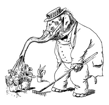 Çiçekler onun Gövde, vintage çizgi çizme veya oyma illüstrasyon ile sulama kafasına şapka ile insan elbiseli bir fil