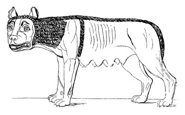 Dişi kurt Etrüsk, vintage çizgi çizme veya oyma illüstrasyon başkentidir.