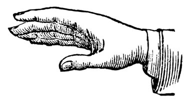 This picture represents the hands position in emphatic declaration, vintage line drawing or engraving illustration. clipart