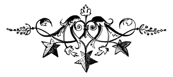 星尾翼有三星和暗叶 复古线条绘画或雕刻 — 图库矢量图片