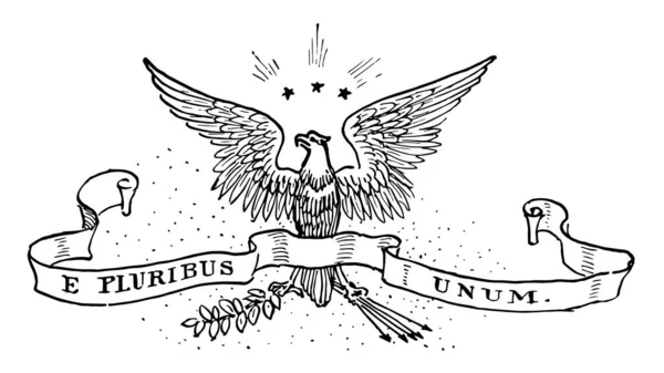 1956年以前的美国座右铭 这只海豹有宽翅膀鹰与座右铭 Pluribus Unum 并持有树枝的树和箭头 星级的鹰顶部 复古线画或雕刻插图 — 图库矢量图片