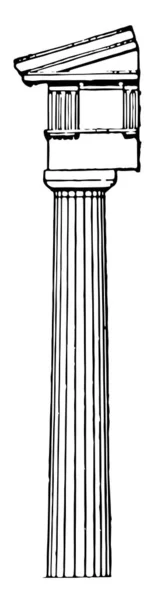 Columna Griega Dórica Tradición Clásica Arquitectura Tamaño Dibujo Línea Vintage — Archivo Imágenes Vectoriales