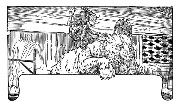 Медведь Скраттель Сцена Показывает Скраттель Сидит Спине Медведя Тянет Медведя — стоковый вектор