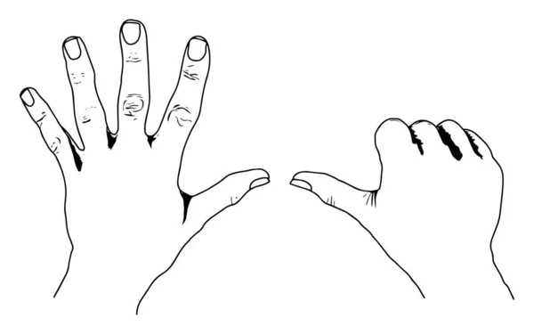 European Style Counting Hands Représentant Style Européen Dessin Ligne Vintage — Image vectorielle
