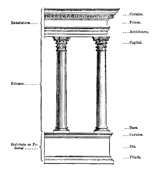Elementos Una Orden Arquitectónica Cornisa Troquel Entablamento Friso Pedestal Pilinto — Vector de stock