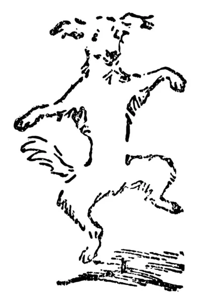 Een Hond Dansen Vintage Lijntekening Gravure Van Illustratie — Stockvector