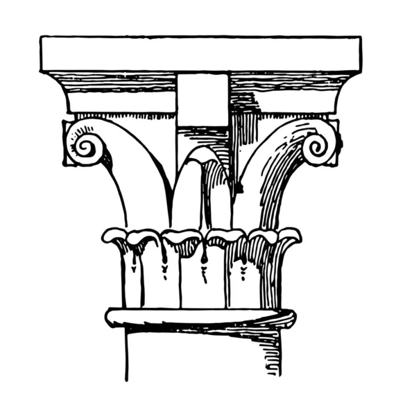 Capitale Foglie Generalmente Scolpite Due Gradi Fasce Illustrazione Linee Vintage — Vettoriale Stock