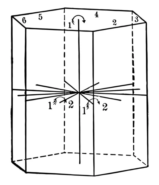 Este Diagrama Representa Simetria Classe Normal Desenho Linha Vintage Ilustração — Vetor de Stock