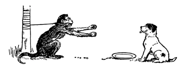 Der Affe Der Mit Einem Seil Eine Holzstange Gebunden Ist — Stockvektor