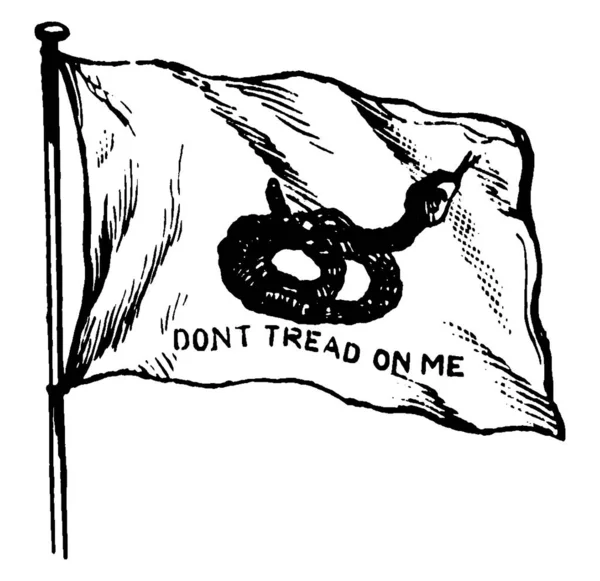 Bandera Serpiente Cascabel Carolina Del Sur 1895 Esta Bandera Tiene — Archivo Imágenes Vectoriales