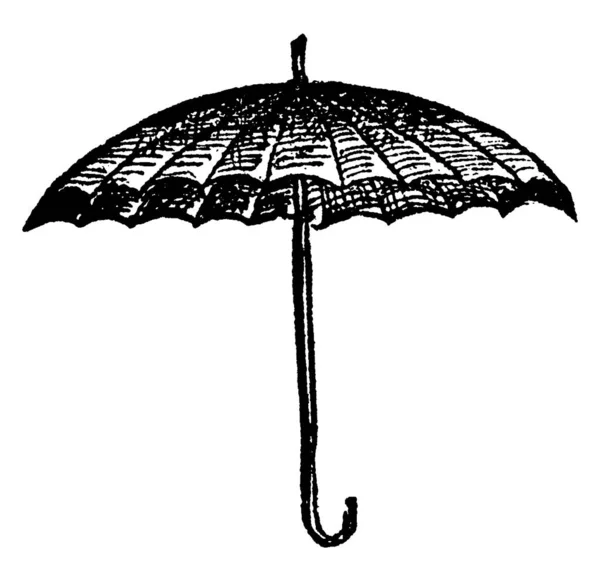 Parapluie Est Une Nuance Écran Dessin Ligne Vintage Illustration Gravure — Image vectorielle