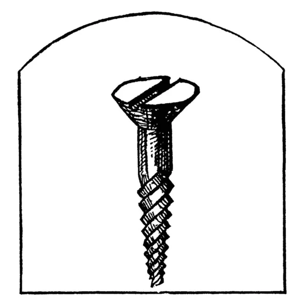 Deze Afbeelding Vertegenwoordigt Schroef Die Gemaakt Van Ijzer Vintage Lijntekening — Stockvector