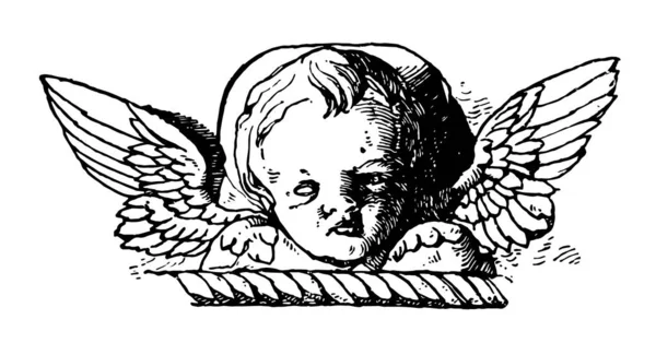 Cherub Head Est Début Renaissance Italienne Dessin Ligne Vintage Illustration — Image vectorielle