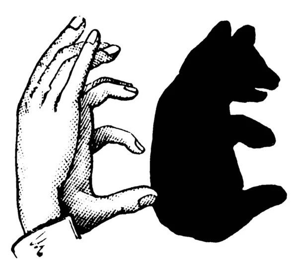 Dieses Bild Stellt Handschatten Von Teddybär Vintage Linienzeichnung Oder Gravierillustration — Stockvektor