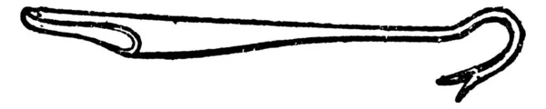 Иллюстрация Представляет Собой Функцию Таннер Крюк Винтажные Линии Рисунок Гравировка — стоковый вектор
