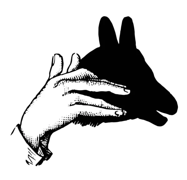 Esta Imagen Representa Sombra Mano Del Burro Dibujo Línea Vintage — Vector de stock