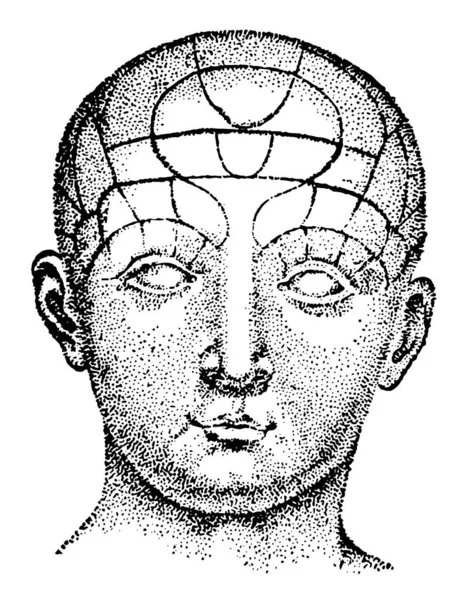 人間の顔 ビンテージの線描画や彫刻図の正面 — ストックベクタ