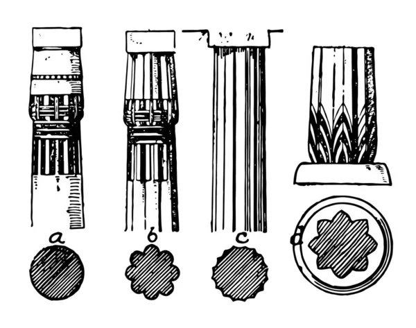 Säule Typen Kreisförmig Zylindrisch Gruppenförmig Polygonal Proto Dorisch Vintage Linienzeichnung — Stockvektor