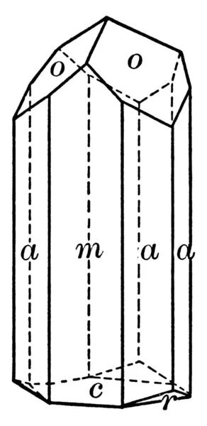 Este Diagrama Representa Turmalina Caracteriza Por Presencia Tres Caras Prisma — Archivo Imágenes Vectoriales